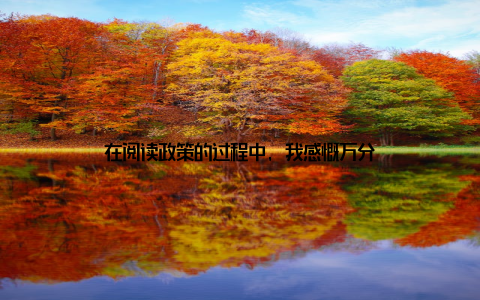 在阅读政策的过程中, 我感慨万分