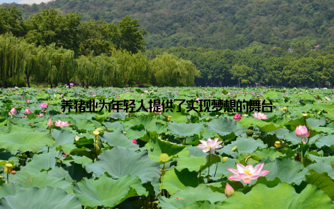 养猪业为年轻人提供了实现梦想的舞台