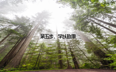 第五步, 学以致用