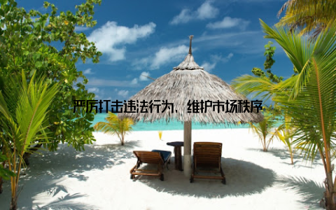 严厉打击违法行为, 维护市场秩序