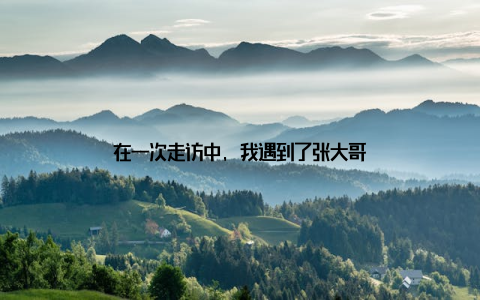 在一次走访中, 我遇到了张大哥