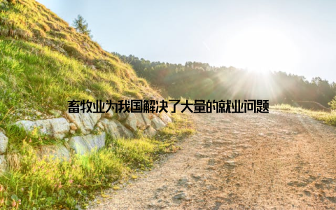 畜牧业为我国解决了大量的就业问题