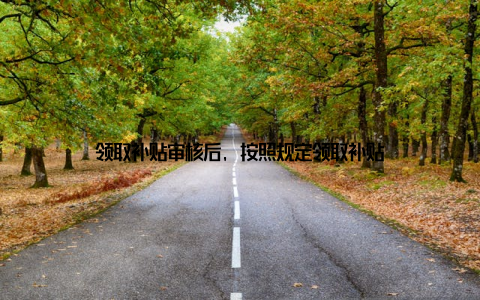 领取补贴审核后, 按照规定领取补贴