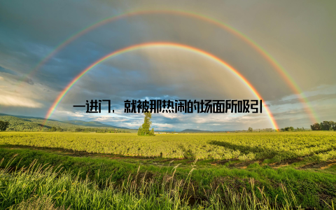 一进门, 就被那热闹的场面所吸引