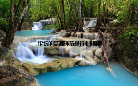 论坛的高潮环节是行业颁奖