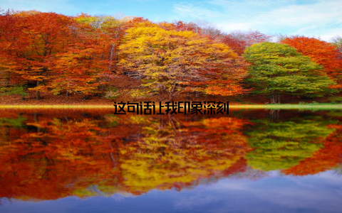 这句话让我印象深刻