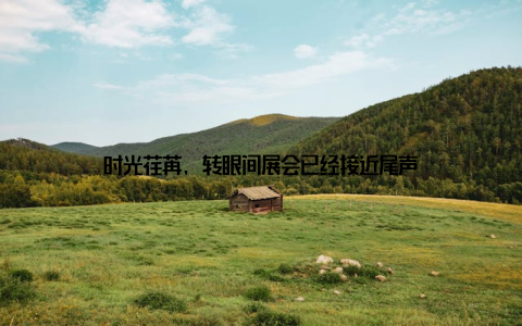 时光荏苒, 转眼间展会已经接近尾声