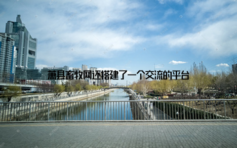 萧县畜牧网还搭建了一个交流的平台