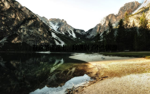 在这条道路上, 我遇到了不少困难