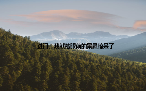 一进门, 我就被眼前的景象惊呆了