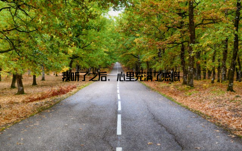 我听了之后, 心里充满了感慨