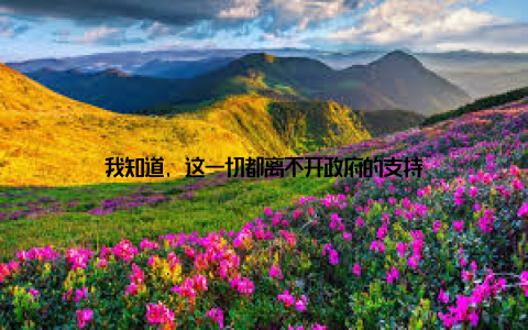 我知道, 这一切都离不开政府的支持