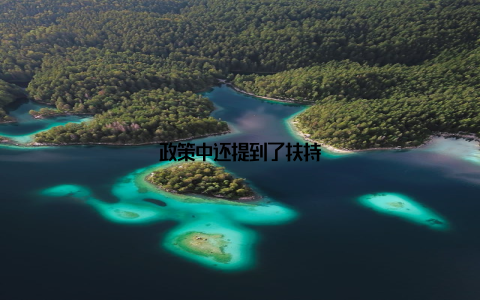 政策中还提到了扶持