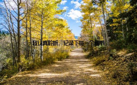 我认真聆听, 记录下每一个细节