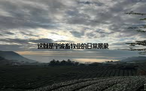 这就是宁波畜牧业的日常景象