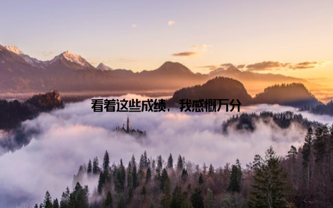 看着这些成绩, 我感慨万分