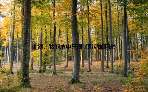 此刻, 我的心中充满了激动和自豪