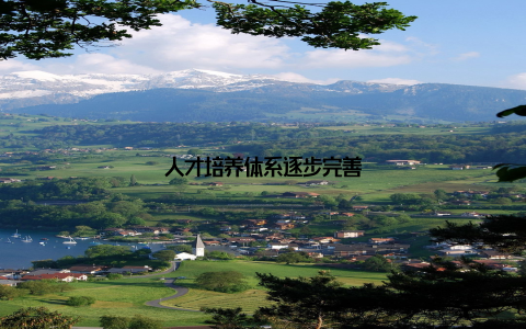 人才培养体系逐步完善