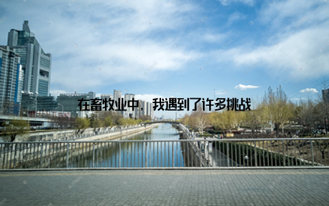 在畜牧业中, 我遇到了许多挑战