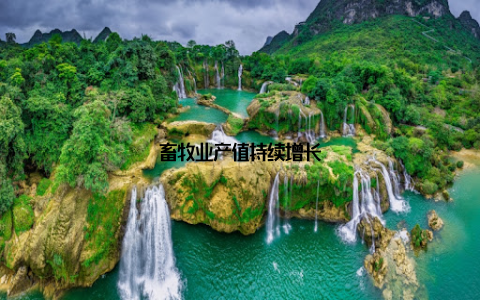 畜牧业产值持续增长