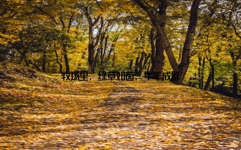 牧场里, 绿草如茵, 牛羊成群