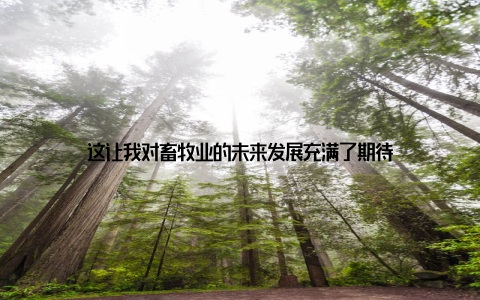 这让我对畜牧业的未来发展充满了期待