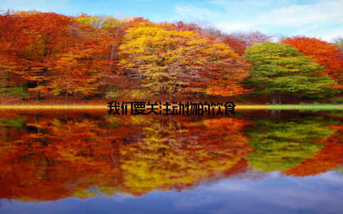 我们要关注动物的饮食