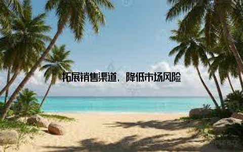 拓展销售渠道, 降低市场风险