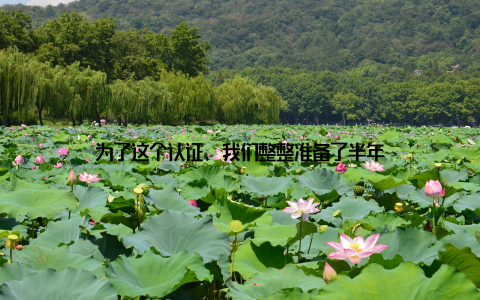 为了这个认证, 我们整整准备了半年