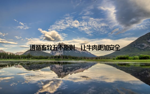 遵循畜牧五不原则, 让牛肉更加安全