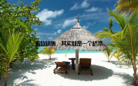 畜牧销售, 其实就是一个桥梁