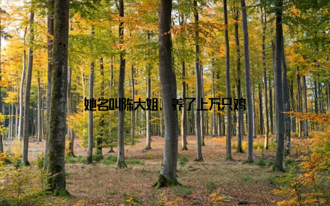 她名叫陈大姐, 养了上万只鸡