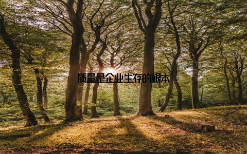 质量是企业生存的根本