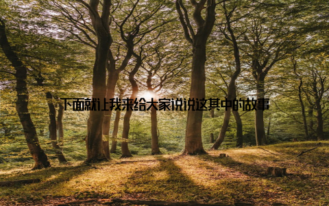 下面就让我来给大家说说这其中的故事