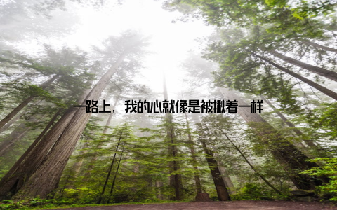 一路上, 我的心就像是被揪着一样