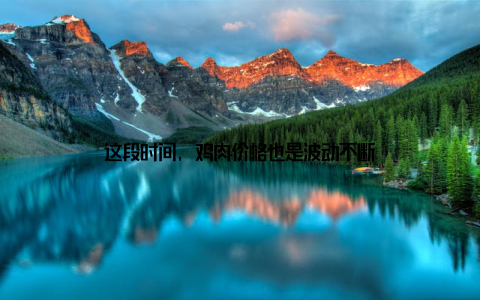 这段时间, 鸡肉价格也是波动不断