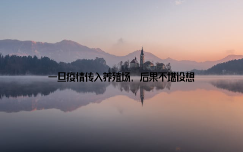 一旦疫情传入养殖场, 后果不堪设想