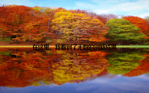 在这里, 我看到了无数的创新成果