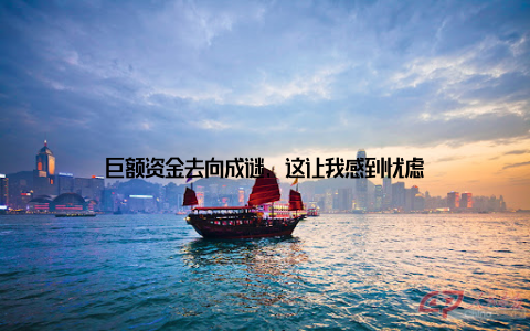 巨额资金去向成谜, 这让我感到忧虑