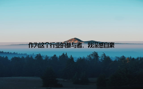 作为这个行业的参与者, 我深感自豪