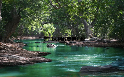 二是加大财政支持力度