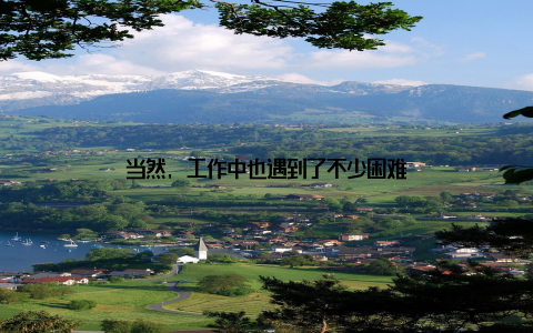 当然, 工作中也遇到了不少困难