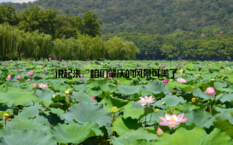 说起来, 咱们肇庆的风景可美了