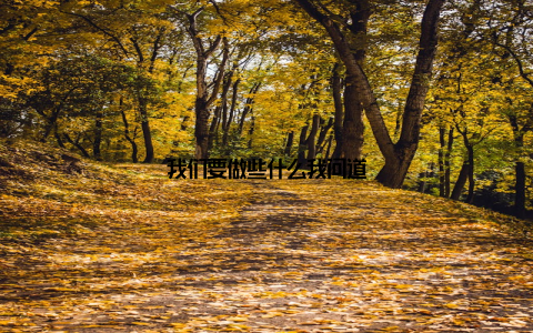 我们要做些什么我问道