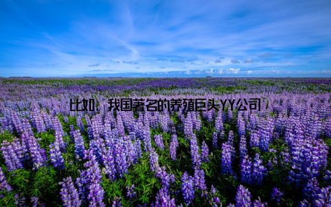 比如, 我国著名的养殖巨头YY公司