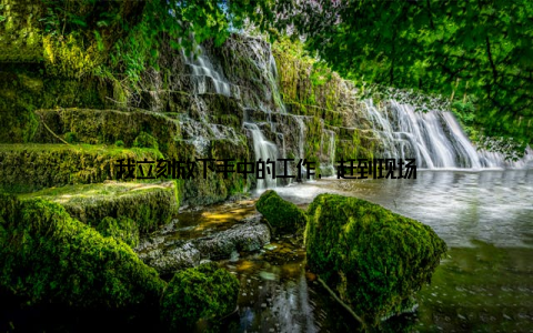 我立刻放下手中的工作, 赶到现场