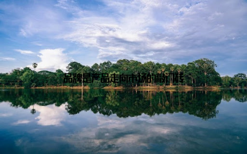 品牌是产品走向市场的敲门砖