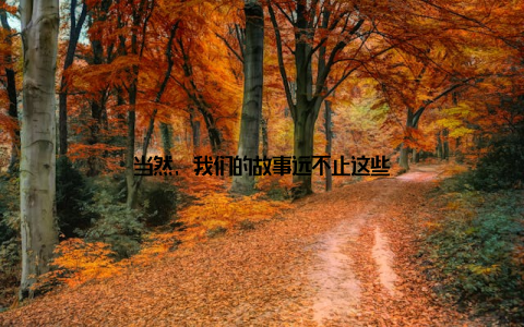 当然, 我们的故事远不止这些