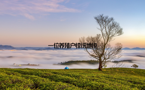 一位养殖户惊讶地说