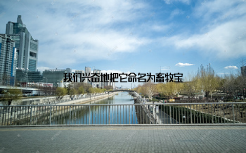 我们兴奋地把它命名为畜牧宝